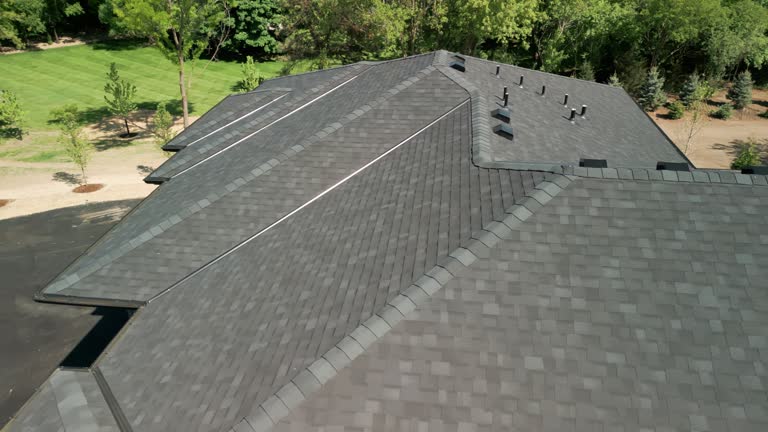 Best Roof Moss and Algae Removal  in Newport, OH