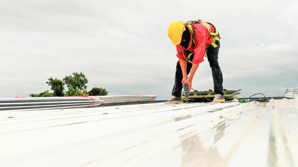 Best Green or Eco-Friendly Roofing Solutions  in Newport, OH
