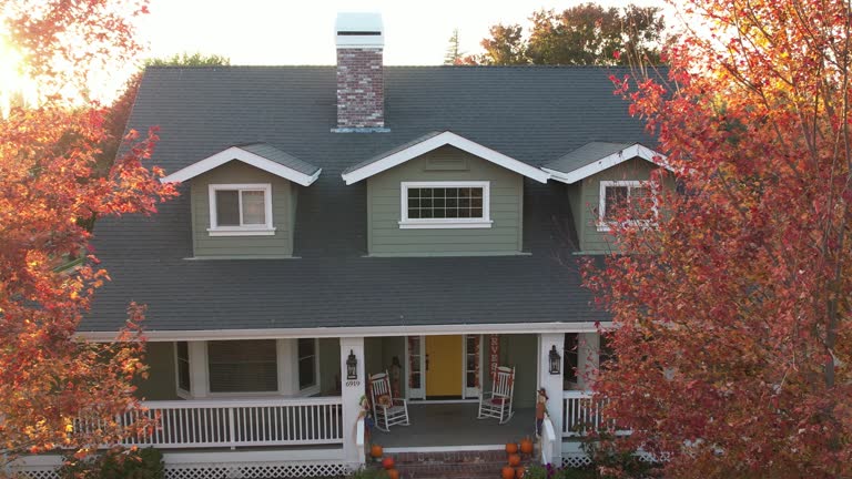 Best Roof Insulation Installation  in Newport, OH